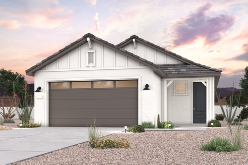 0064 30507 W WHITETHORN ACACIA