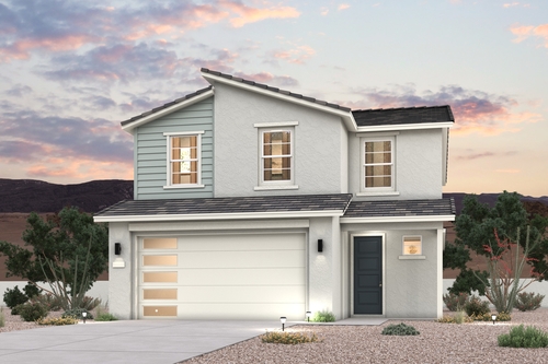 0065 30509 W WHITETHORN ACACIA