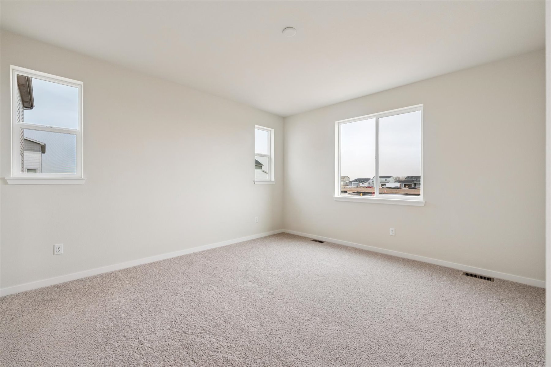 A room with a carpet and windows.