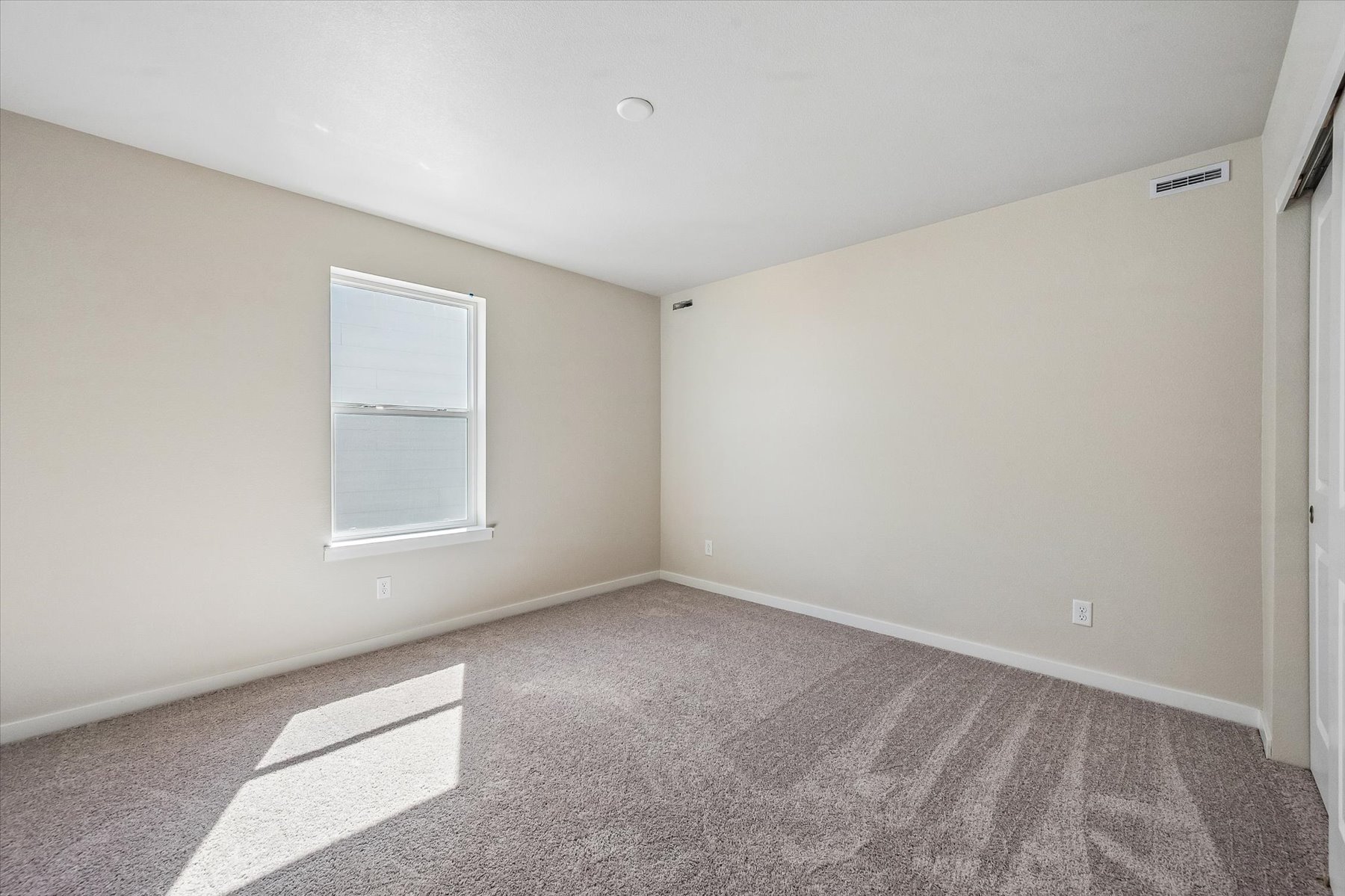 A room with a carpet and a rug.