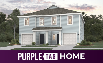 0231 205 Brazil Nut Cir